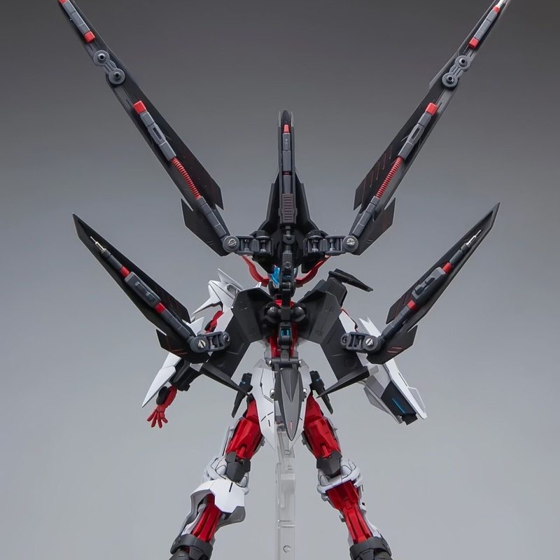 HG 1/144 Astray No-Name Astray - đánh giá và giá Model Kit Baki