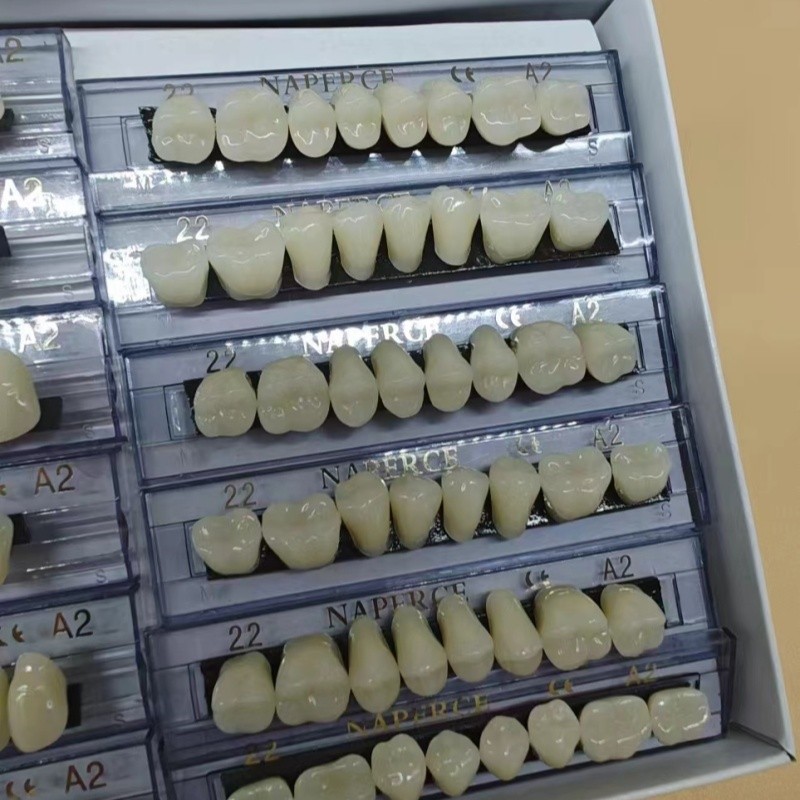 168pcs/box Dental Synthetic Re - đánh giá và giá Model Kit Ixchel