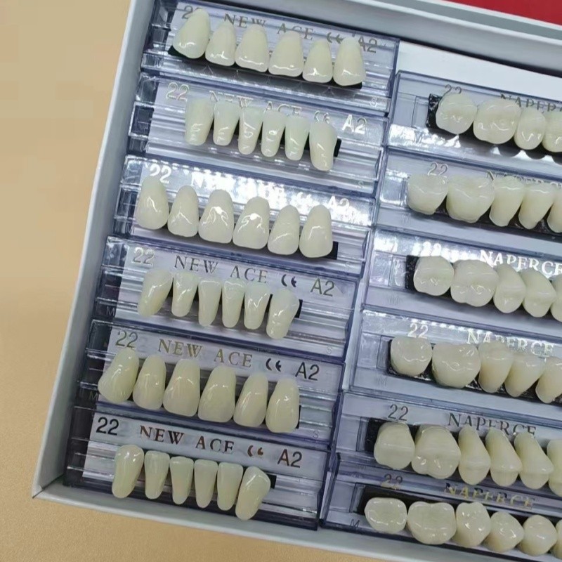 168pcs/box Dental Synthetic Re - đánh giá và giá Model Kit Ixchel