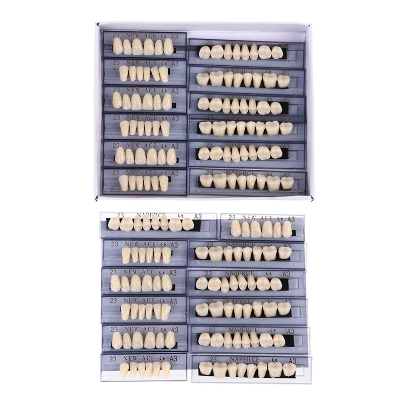 168pcs/box Dental Synthetic Re - đánh giá và giá Model Kit Ixchel